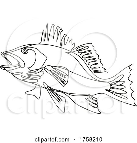 Largemouth Bass Side View Continuous Line Drawing by patrimonio