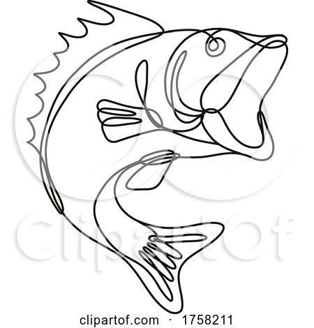 Largemouth Bass Jumping up Continuous Line Drawing by patrimonio