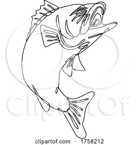 Largemouth Bass Jumping up Continuous Line Drawing by patrimonio