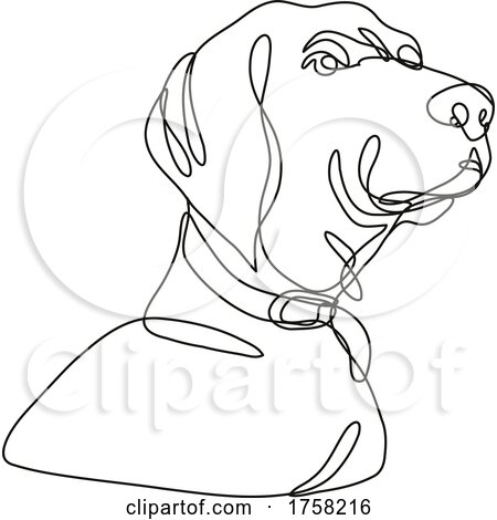 Labrador Retriever Dog Head Looking up Continuous Line Drawing by patrimonio