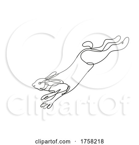 Snowshoe Hare Varying Hare or Snowshoe Rabbit Jumping Side View Continuous Line Drawing by patrimonio