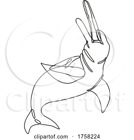 Amazon River Dolphin or Boto Inia Geoffrensis Continuous Line Drawing by patrimonio