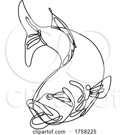 Bucketmouth Bass Jumping down Continuous Line Drawing by patrimonio