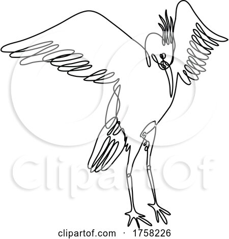 Crane Spreading Wings Front View Continuous Line Drawing by patrimonio