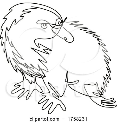 Echidna or Spiny Anteater Side View Continuous Line Drawing by patrimonio