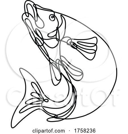Lake Trout Jumping up Continuous Line Drawing by patrimonio