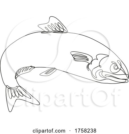 Angry Atlantic Herring Sardine Fish Jumping Continuous Line Drawing by patrimonio