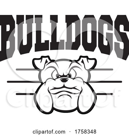 Black and White Mascot Head Under BULLDOGS Text by Johnny Sajem