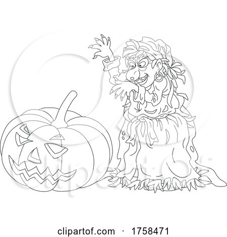 Halloween Jackolantern Pumpkin and Witch by Alex Bannykh
