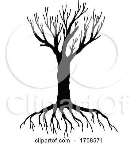 Silhouetted Bare Tree by Vector Tradition SM