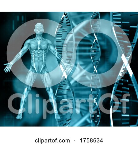 3D Medical Background with DNA Strands and Male Figure with Muscle Map by KJ Pargeter