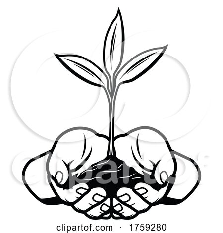 Hand Holding a Plant by Vector Tradition SM