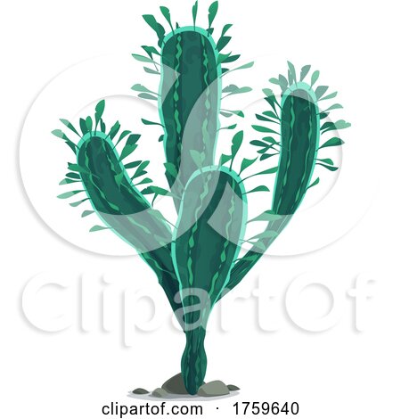 Cactus by Vector Tradition SM