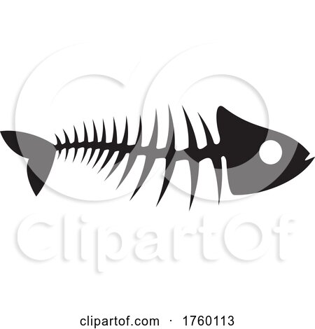 Fish Skeleton by Vector Tradition SM
