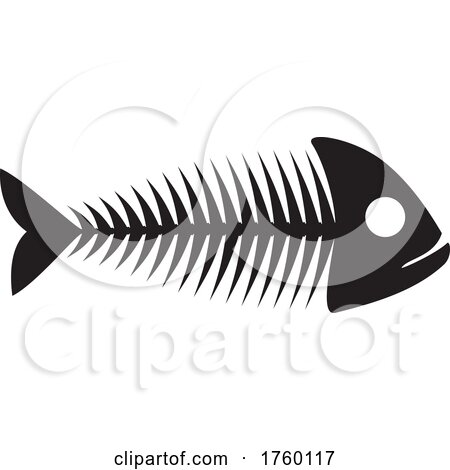 Fish Skeleton by Vector Tradition SM
