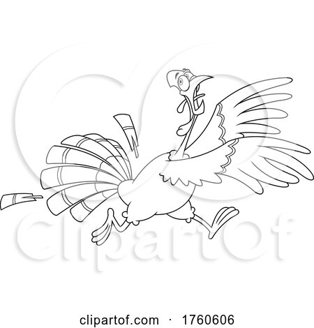 Cartoon Black and White Turkey Bird Running by Hit Toon