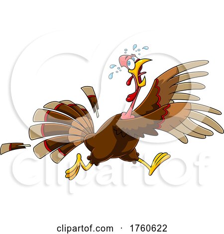 Cartoon Turkey Bird Running by Hit Toon