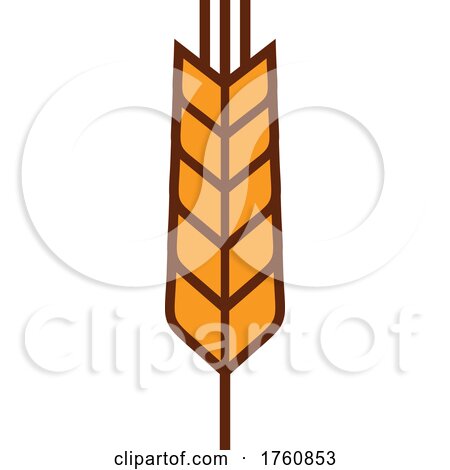 Wheat Stalk by Vector Tradition SM