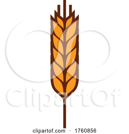 Wheat Stalk by Vector Tradition SM