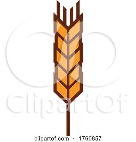 Wheat Stalk by Vector Tradition SM