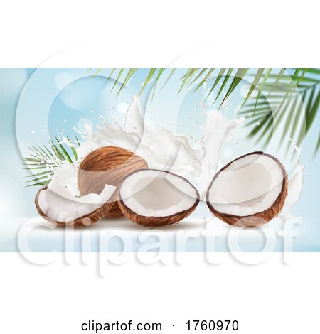 Coconut by Vector Tradition SM