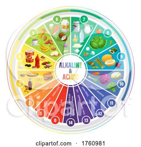 Alkaline and Acidic Food Chart by Vector Tradition SM