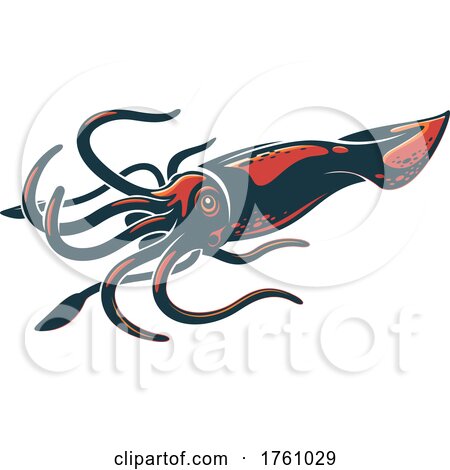 Squid by Vector Tradition SM