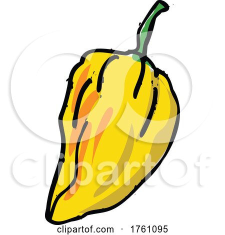 Drawing Sketch Style Illustration of a Hot Chili Pepper by patrimonio