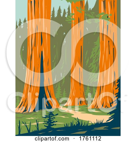 Mariposa Grove of Giant Sequoia in Yosemite National Park near Wawona California WPA Poster Art by patrimonio