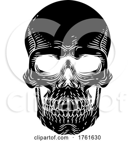 Skull Old Vintage Woodcut Etching Engraving Style by AtStockIllustration