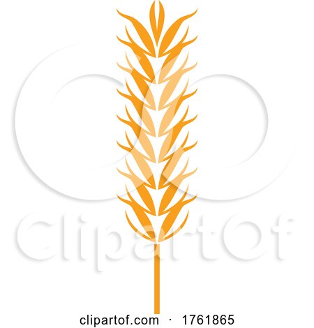 Wheat by Vector Tradition SM