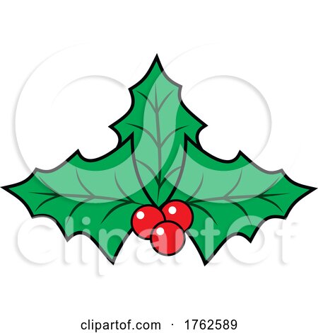 Christmas Holly and Berries by Johnny Sajem