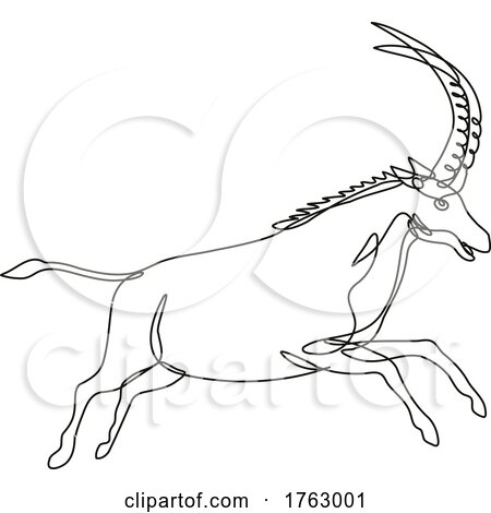 Black Sable Antelope or Hippotragus Niger Jumping Continuous Line Drawing by patrimonio
