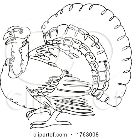 Wild Turkey or Domestic Turkey Side View Continuous Line Drawing by patrimonio