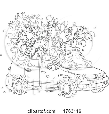 Black and White Cartoon Man Transporting a Fresh Cut Christmas Tree on the Roof of His Car by Alex Bannykh