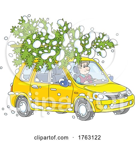 Cartoon Man Transporting a Fresh Cut Christmas Tree on the Roof of His Car by Alex Bannykh