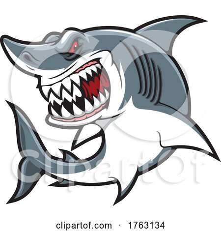 Tough Shark Mascot by Vector Tradition SM