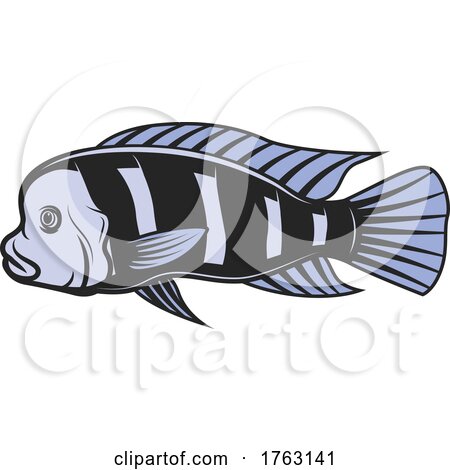 Cichlid by Vector Tradition SM
