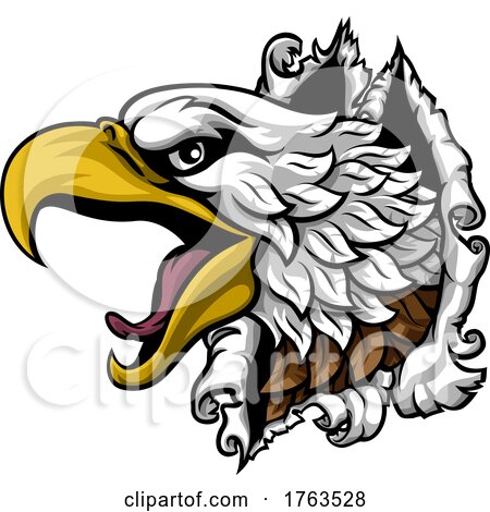Eagle Hawk Face Head Ripping Through Background by AtStockIllustration