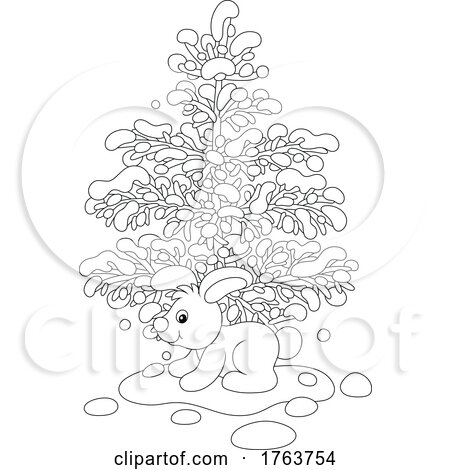 Black and White White Hare Bunny wIth an Evergreen Tree in the Snow by Alex Bannykh