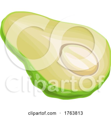 Chayote by Vector Tradition SM