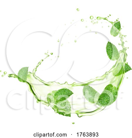 Green Tea and Leaf Splash by Vector Tradition SM