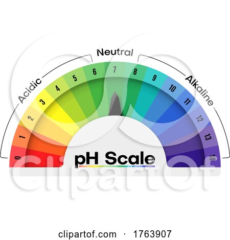 PH Scale by Vector Tradition SM