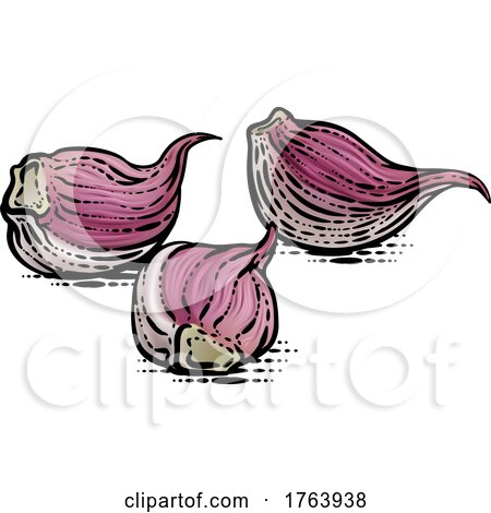 Garlic Vegetable Illustration in a Vintage Retro Woodcut Etching Style by AtStockIllustration