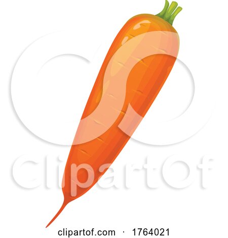 Carrot by Vector Tradition SM