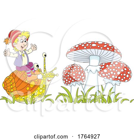 Elf or Gnome Riding a Snail by Mushrooms by Alex Bannykh