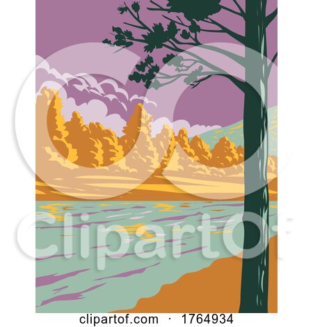 Bellinger River National Park with Bellinger River and Unspoilt Forest in Darkwood New South Wales Australia WPA Poster Art by patrimonio
