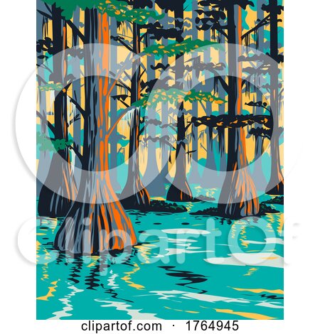 Caddo Lake State Park with Bald Cypress Trees in Harrison and Marion County East Texas USA WPA Poster Art by patrimonio