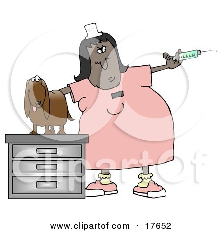 Clipart Illustration of a Nervous Wiener Dog On A Table, Looking At A Veterinary Technician Holding A Vaccine Syringe by djart