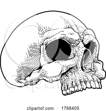 Skull Skeleton Grim Reaper Mascot Vintage Woodcut by AtStockIllustration